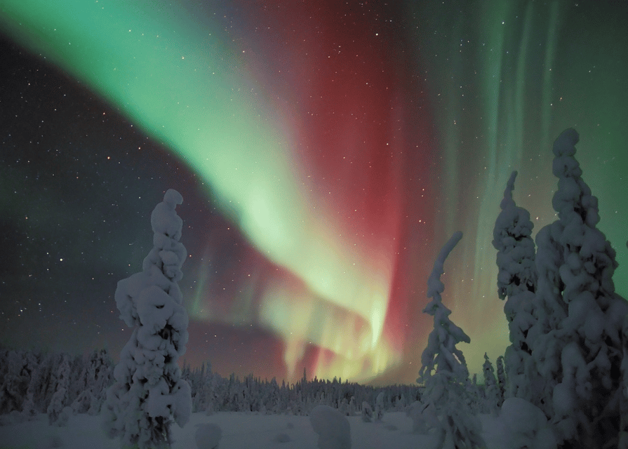 Rovaniemi: Northern Lights Snowmobile Safari with Campfire - Sharing the snowmobile with another person