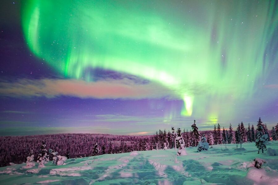 Rovaniemi: Northern Lights Snowmobile Tour - Key points to know before you book