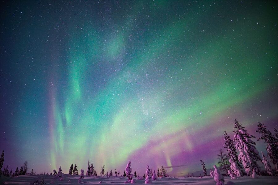 Rovaniemi: Northern Lights Snowmobile Tour - Following the forest trails