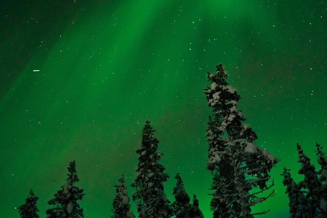 Rovaniemi: Northern Lights Tour - Leaving Rovaniemi for a darker sky