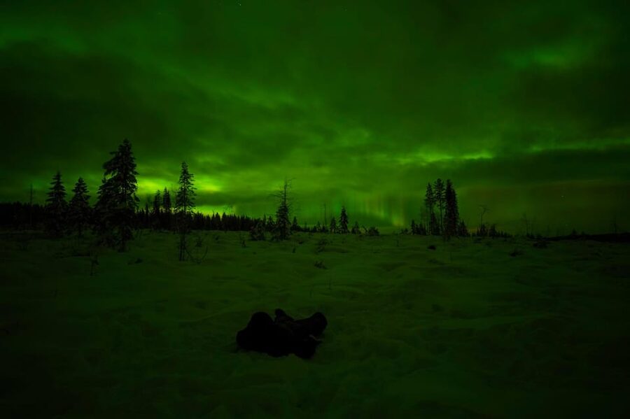Rovaniemi: Northern Lights Tour at the Campfire - Leaving Rovaniemi for a darker sky