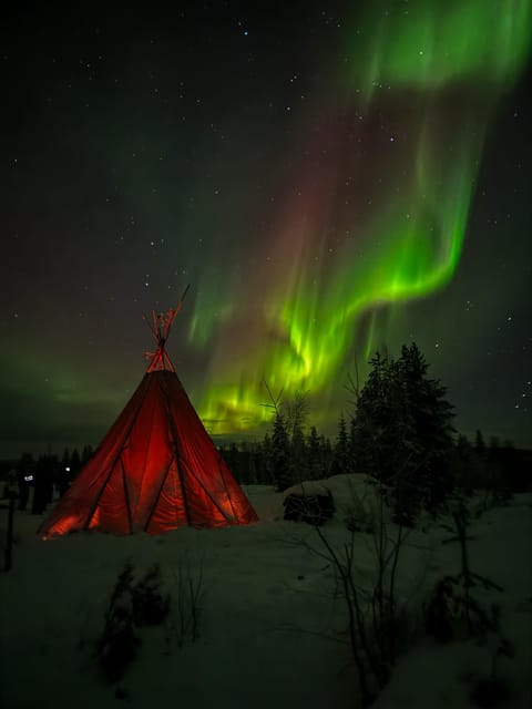 Rovaniemi: Northern Lights Tour at the Campfire - Practical details that shape the night