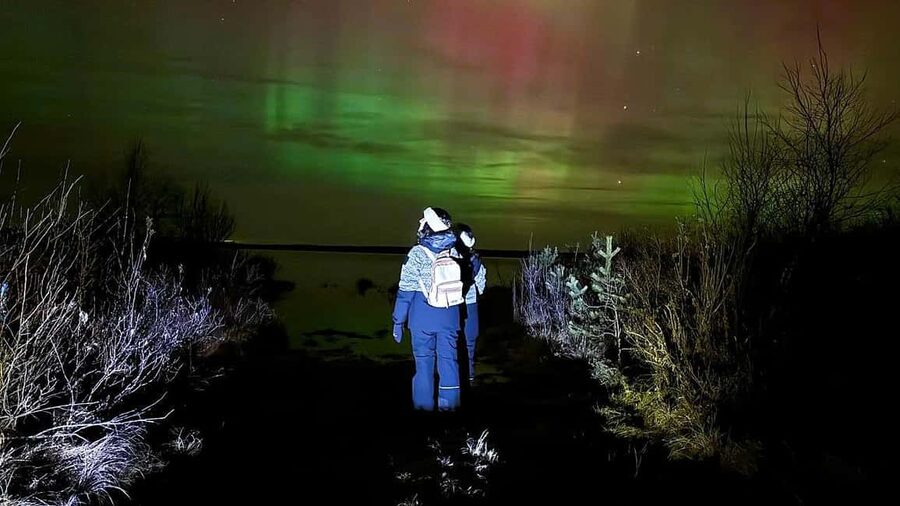 Rovaniemi: Northern Lights Tour with BBQ - What the three stops add to the evening
