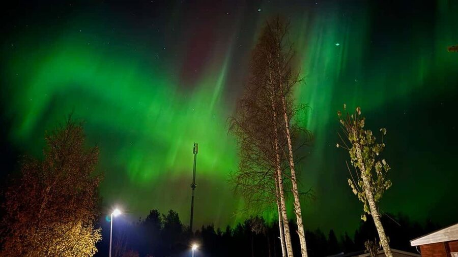 Rovaniemi: Northern Lights Tour with BBQ - The great uncertainty: nature sets the schedule