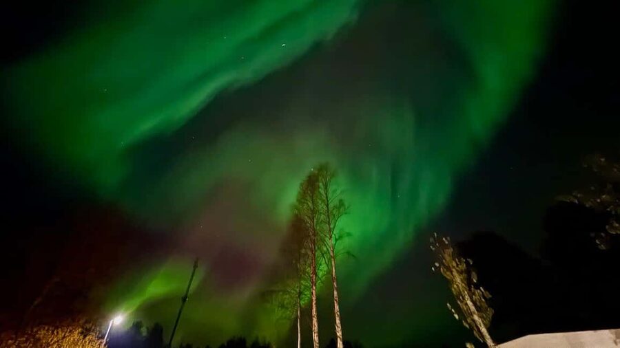 Rovaniemi: Northern Lights Tour with BBQ - Timing, clothing, and small details that matter