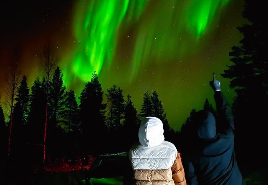 Rovaniemi: Northern Lights Tour with BBQ - A Finnish BBQ beside the Arctic fire