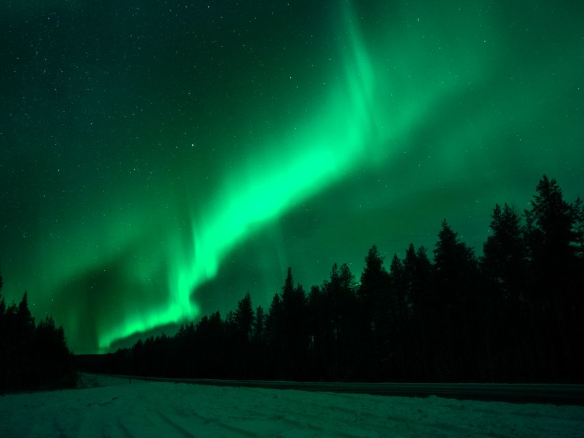 Rovaniemi: Northern Lights Tour with Guaranteed Sightings - Key points at a glance