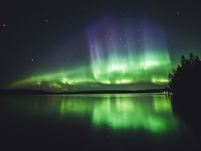 Rovaniemi: Northern Lights Tour with Guaranteed Sightings - The guides make or break a long night