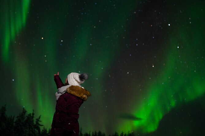 Rovaniemi: Northern Lights Tour - Choosing a viewpoint by the Aurora forecast
