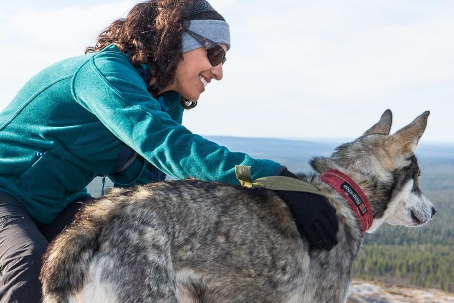 Rovaniemi: One Hour Husky Experience - Meeting the huskies at the farm