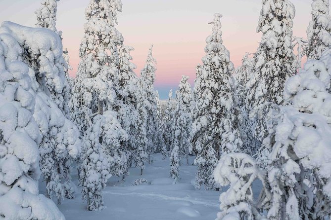 Rovaniemi photography tour - The digital photos and the value question