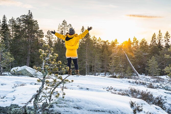 Rovaniemi photography tour - Timing, group size, and weather