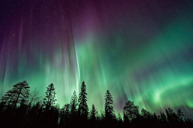 Rovaniemi: Private Aurora Tour with Guaranteed Sightings - Who will get the most from this eight-hour tour?