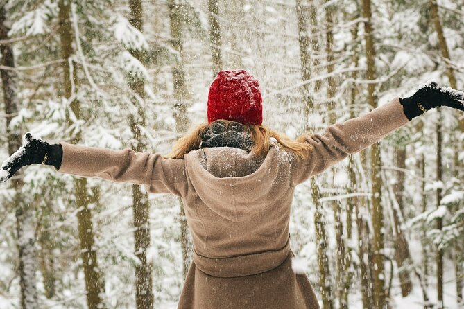 Rovaniemi: Private Winter Wonderland Photoshoot Tour - Walking through Lapland’s winter scenery