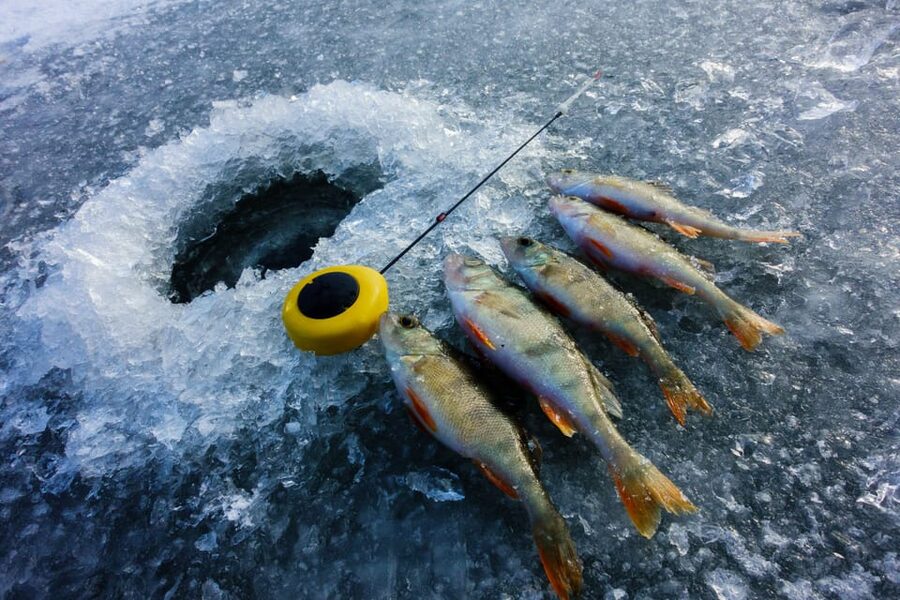 Rovaniemi: Quad Bike Ride and Ice Fishing - What to bring and what to confirm