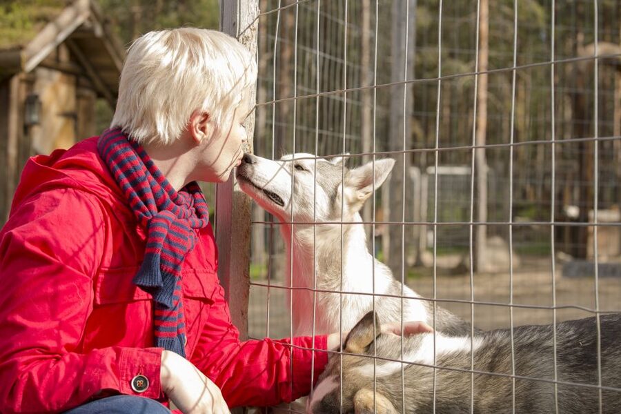 Rovaniemi: Quad Bike Safari, Reindeer & Husky Farm Visit - Meeting in central Rovaniemi