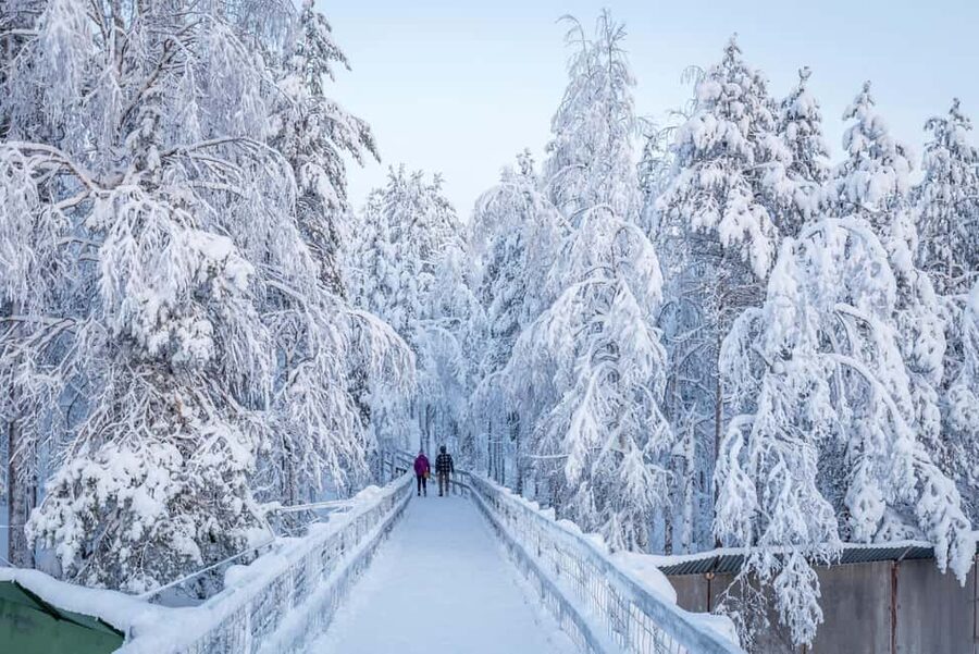 Rovaniemi: Ranua Zoo Wildlife Park Tour with hotel pickup - What the $135 price includes