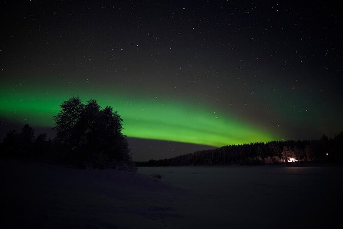 Rovaniemi – Real Northern Lights Hunting Experience (Small Group) - Riding into the snowy Lappish night