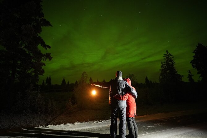 Rovaniemi – Real Northern Lights Hunting Experience (Small Group) - Seeing the aurora with realistic expectations