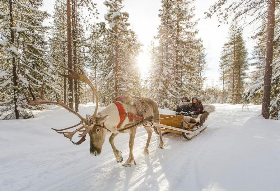 Rovaniemi: Reindeer Farm Visit and Sleigh Ride with transfer - The 400 to 500 meter sleigh ride