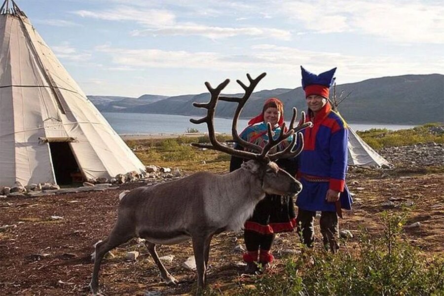 Rovaniemi: Reindeer Farm Visit in the Summer - Finnish snacks, hot drinks, and the meal question