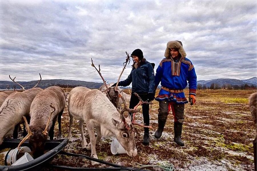 Rovaniemi: Reindeer Farm Visit in the Summer - Starting at Maakuntakatu 29 in central Rovaniemi