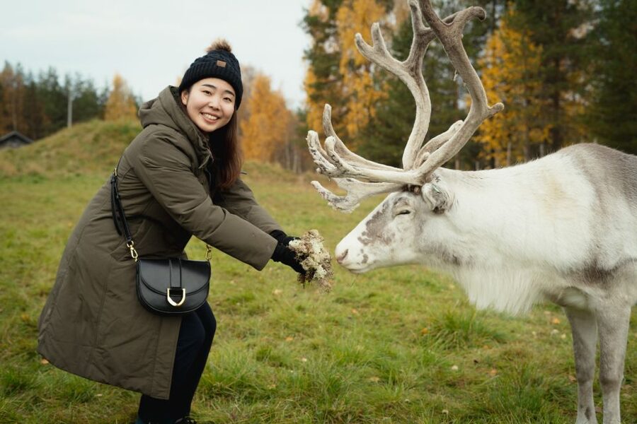 Rovaniemi: Reindeer Farm Visit with Photographer - Key points to know before you book