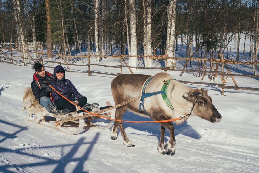 Rovaniemi: Reindeer Farm Visit with Photographer - Guides Matias and Valeriia