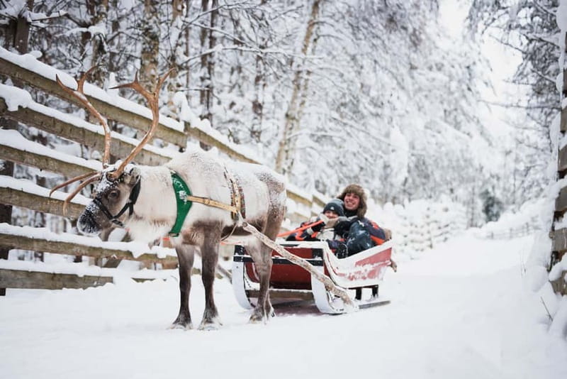 Rovaniemi: Reindeer, Huskies & Santa Claus Village - Meeting the reindeer and taking the 500-meter sleigh ride