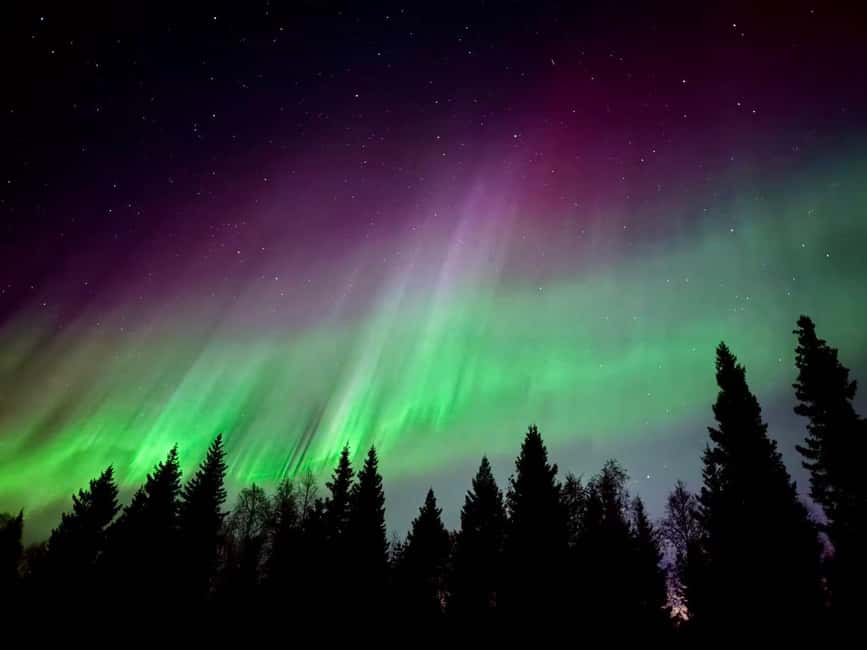 Rovaniemi: Reindeer, Huskies, Santa's Pets & Aurora Hunt - Santa Claus Village free time and the midday gap
