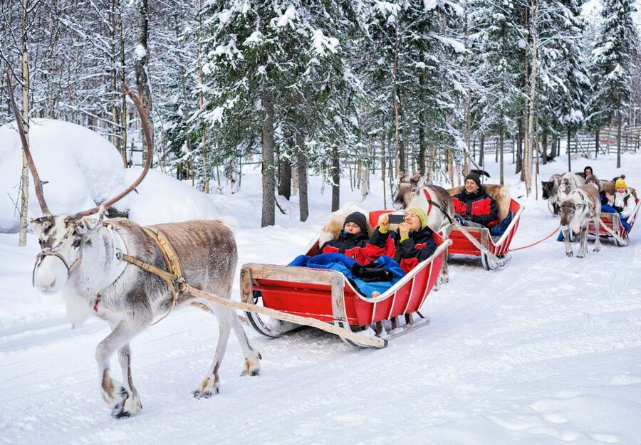 Rovaniemi: Reindeer Sleigh Ride with Hot Drink and Cookies - Group size, comfort, and the small-print details