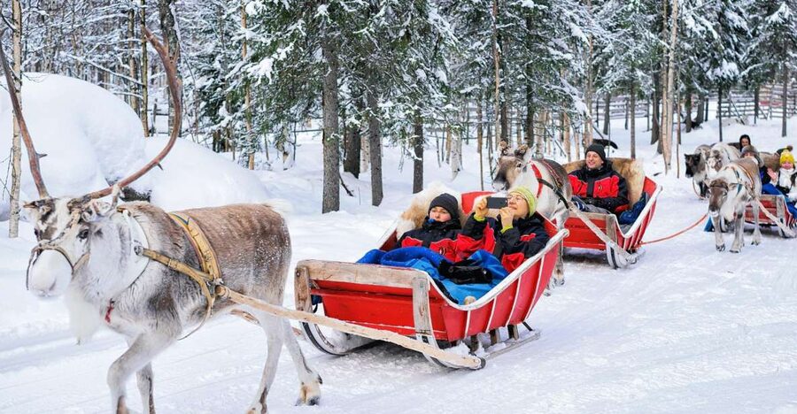 Rovaniemi: Reindeer Sleigh Ride with Hot Drink and Cookies - Meeting the reindeer at one of Rovaniemis oldest farms