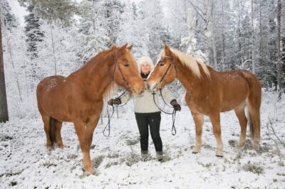 Riding Tour with Finnhorses at SCV