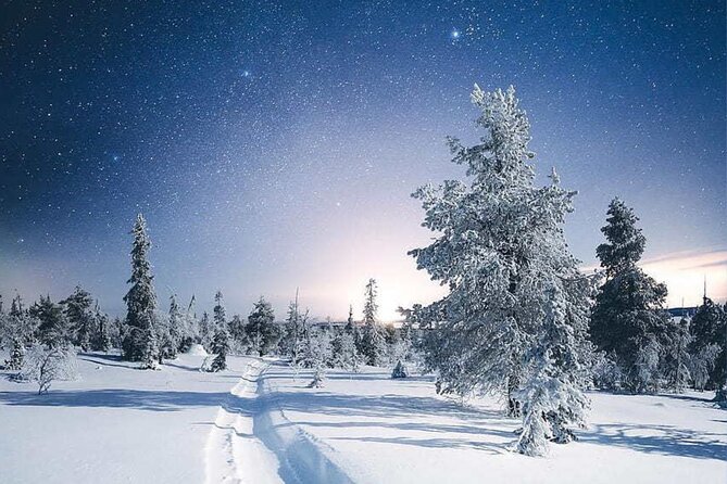 Rovaniemi: Riisitunturi Full-Day Wilderness Adventure & BBQ - Starting at 8:00 am from Rovaniemi