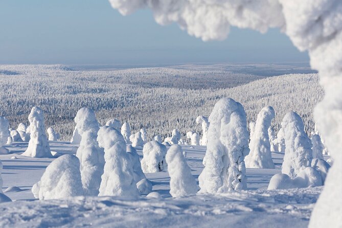 Rovaniemi: Riisitunturi Full-Day Wilderness Adventure & BBQ - Robin, family roots, and the small-group feel