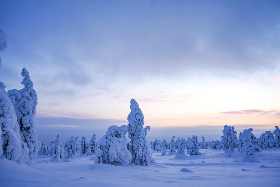 Rovaniemi: Riisitunturi National Park Day Trip with Lunch - Why Riisitunturi earns a full day from Rovaniemi