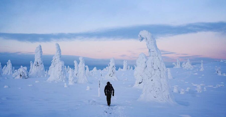 Rovaniemi: Riisitunturi National Park Day Trip with Lunch - The 4-kilometre walk through snow-covered spruce
