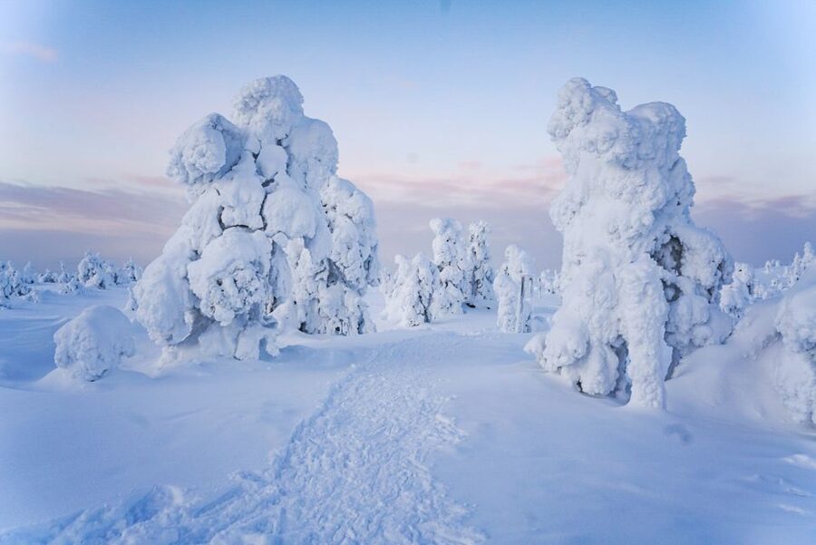 Rovaniemi: Riisitunturi National Park Day Trip with Lunch - Clothing, fitness, and winter comfort