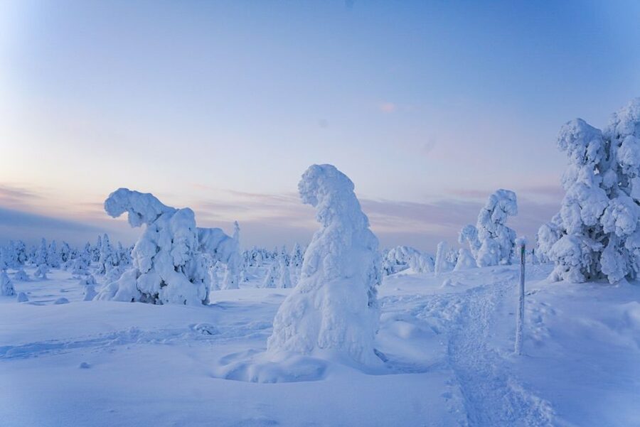 Rovaniemi: Riisitunturi National Park Day Trip with Lunch - Who should book this Riisitunturi outing