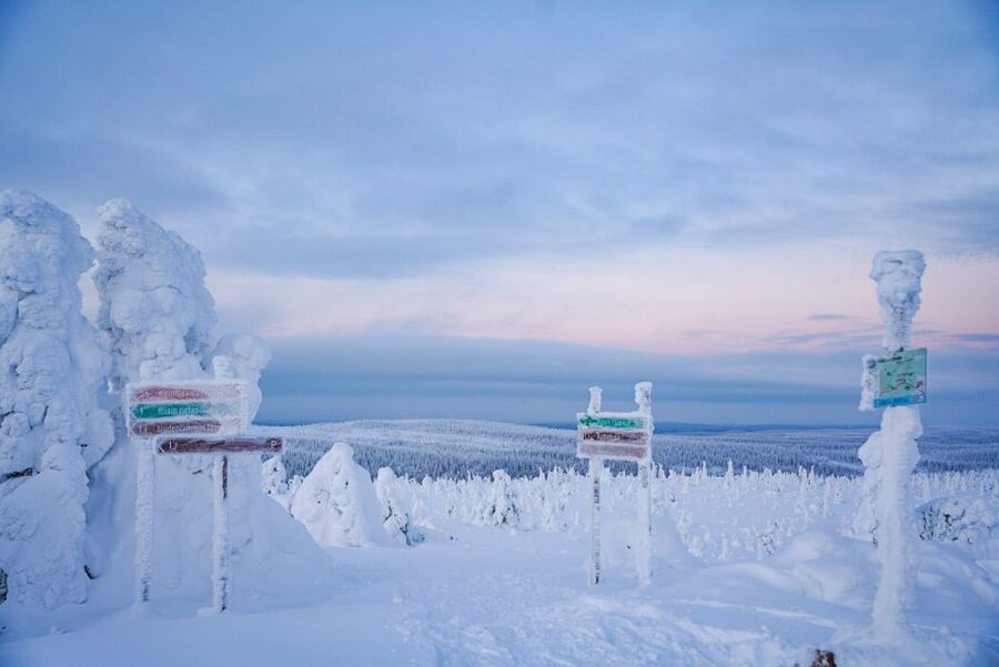 Rovaniemi: Riisitunturi National Park Day Trip with Lunch - Should you book it?
