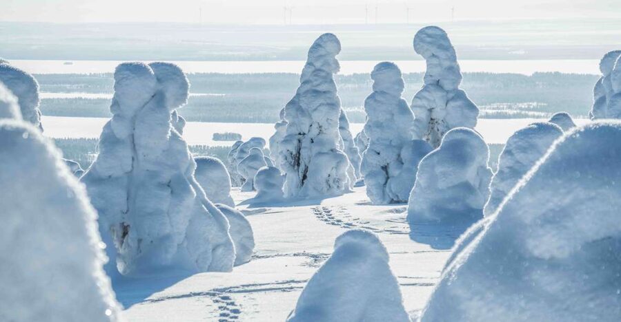 Rovaniemi: Riisitunturi National Park with Pro Photos & BBQ - Photography with the guide