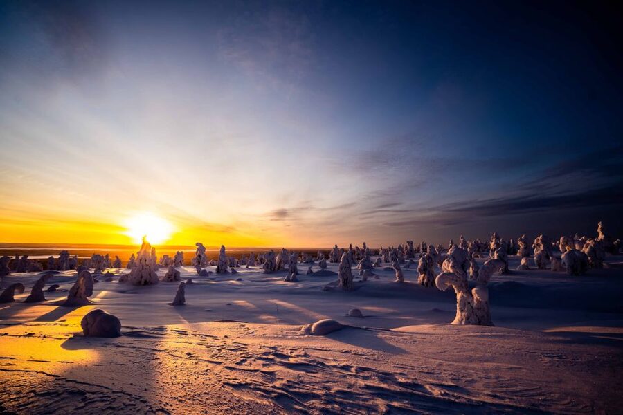 Rovaniemi: Riisitunturi National Park with Pro Photos & BBQ - Warm clothing and winter comfort