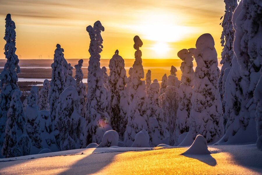 Rovaniemi: Riisitunturi National Park with Pro Photos & BBQ - The road from Rovaniemi to the park