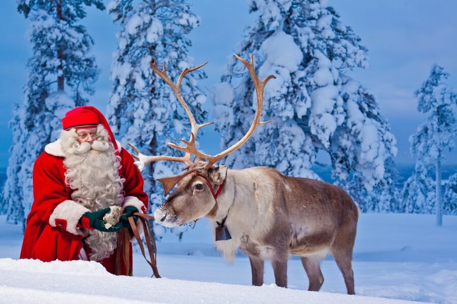 Rovaniemi: Santa Claus Village and Arctic Circle - Reindeer add a more traditional Lapland touch