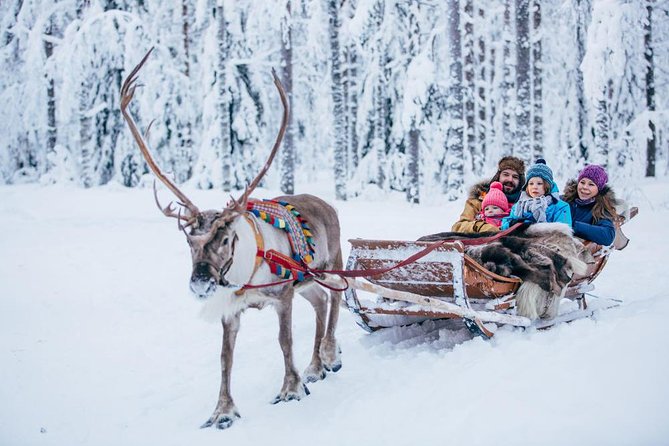 Rovaniemi Santa Claus Village Husky Reindeer Farm Arctic Museum - Guides can shape the whole day