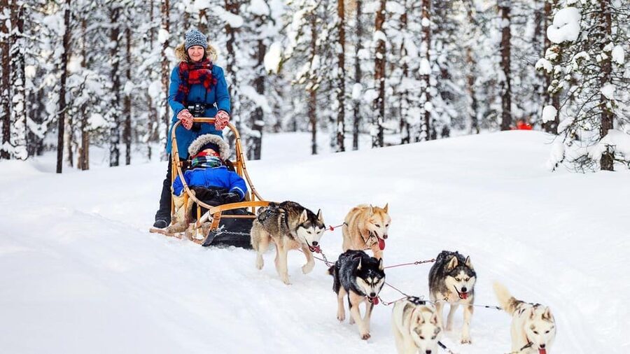 Rovaniemi: Santa Claus Village + Husky & Reindeer Sled Ride - Key points at a glance