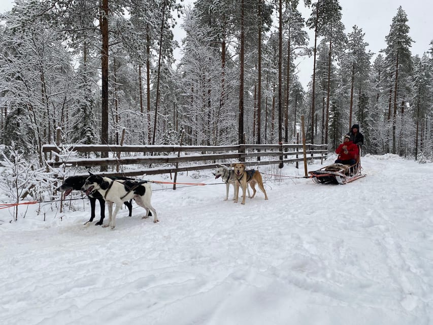 Rovaniemi: Santa Claus Village Tour Huskies & Reindeer ride - What the $235 price covers