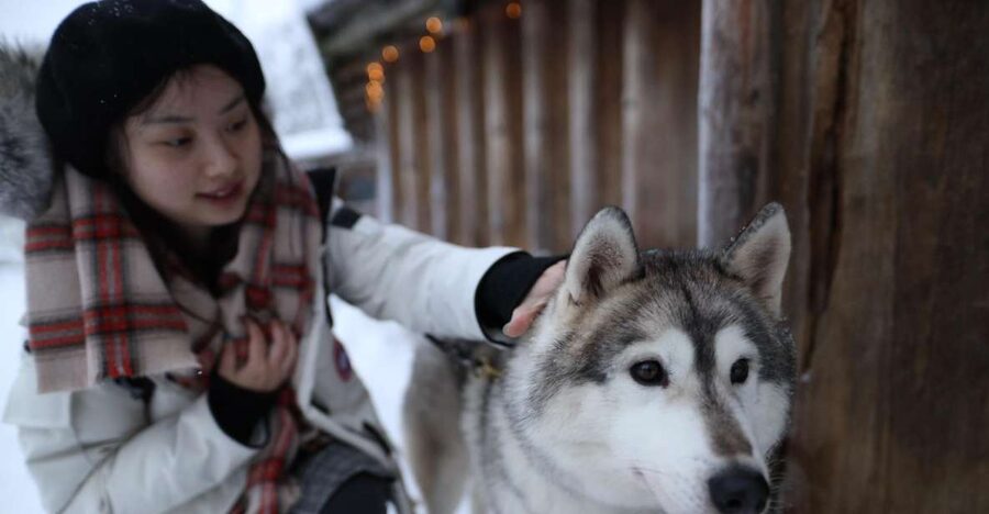 Rovaniemi: Santa Claus Village Tour Huskies & Reindeer Visit - Key points at a glance