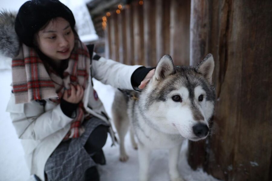 Rovaniemi: Santa Claus Village Tour Huskies & Reindeer Visit - Meeting the huskies in summer and fall