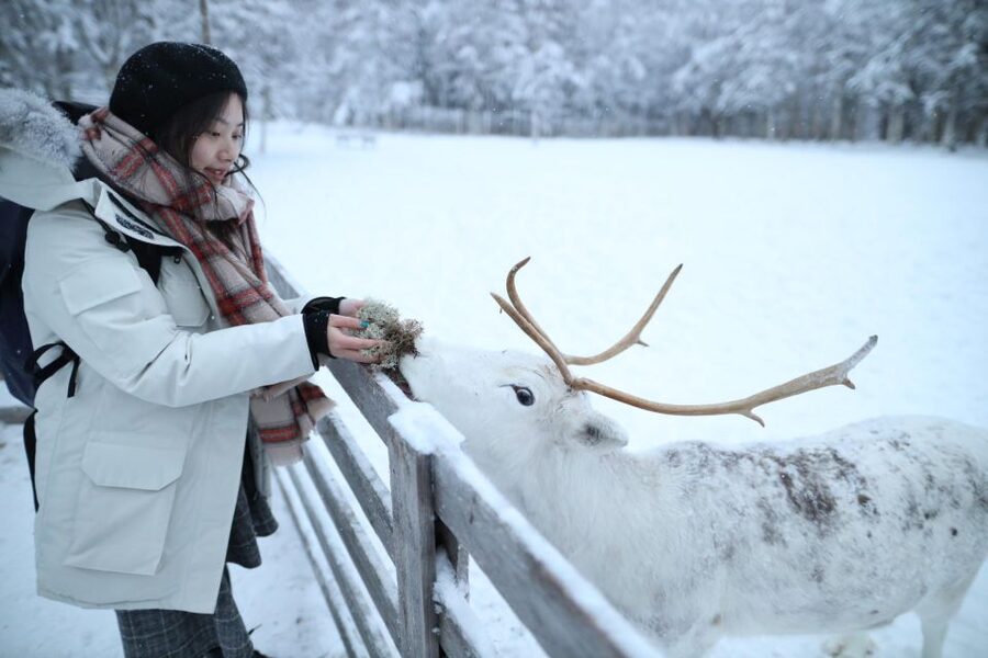Rovaniemi: Santa Claus Village Tour Huskies & Reindeer Visit - Who will enjoy this tour most?